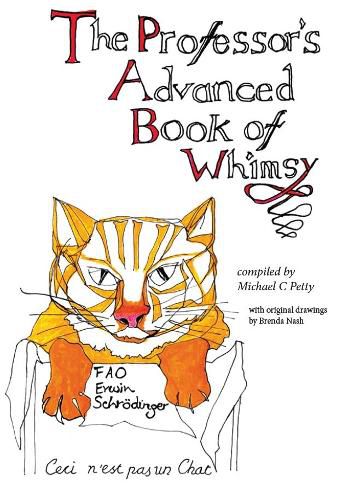 Cover image for The Professor's Advanced Book of Whimsy