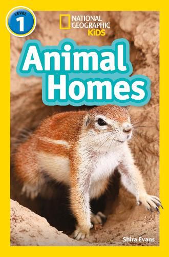 Cover image for Animal Homes: Level 1