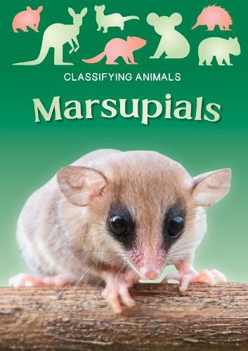 Marsupials