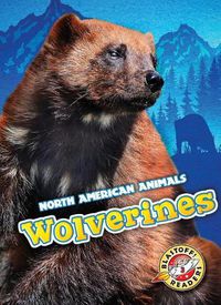 Cover image for Wolverines
