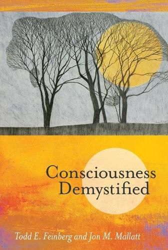 Cover image for Consciousness Demystified