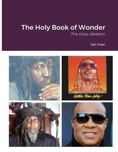 Cover image for The Holy Book of Wonder