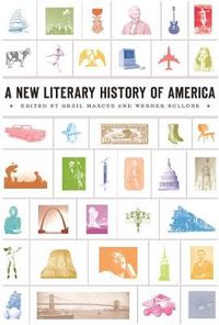 Cover image for A New Literary History of America
