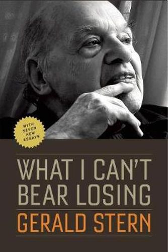 What I Can't Bear Losing: Essays by Gerald Stern