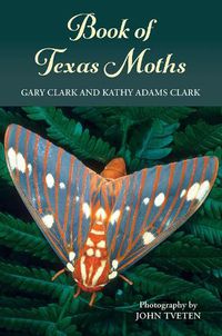 Cover image for Book of Texas Moths