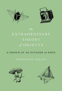 Cover image for An Extraordinary Theory of Objects: A Memoir of an Outsider in Paris