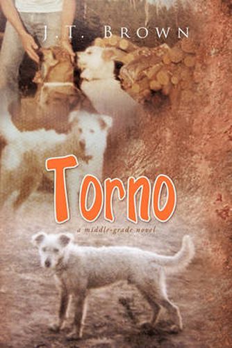 Cover image for Torno: A Middle-Grade Novel