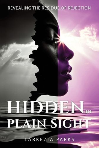 Cover image for Hidden in Plain Sight