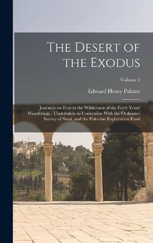 Cover image for The Desert of the Exodus