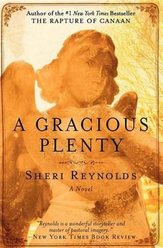 Cover image for A Gracious Plenty