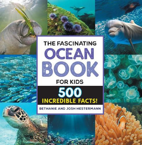 Cover image for The Fascinating Ocean Book for Kids: 500 Incredible Facts!