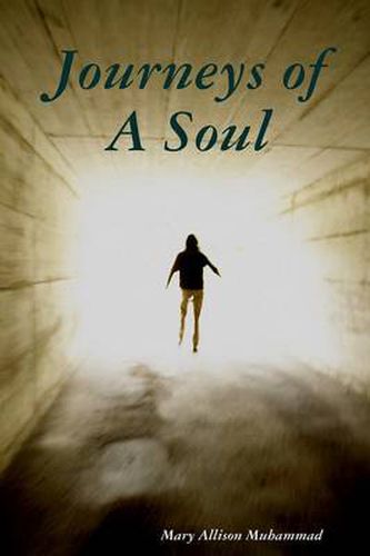 Cover image for Journeys Of a Soul