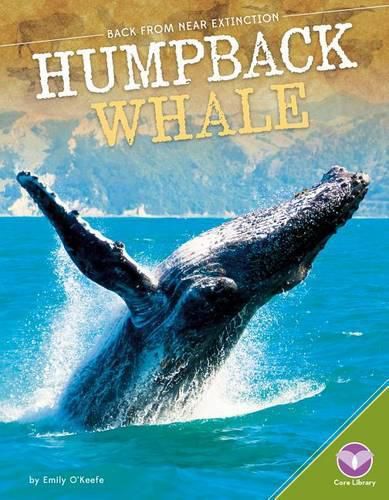 Cover image for Humpback Whale