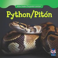 Cover image for Python / Piton