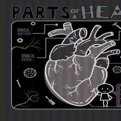 Parts of a Heart