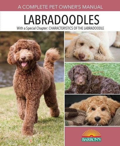 Cover image for Labradoodles