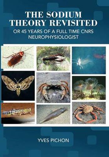 Cover image for The Sodium Theory Revisited: Or 45 Years of a Full Time Cnrs Neurophysiologist