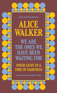 Cover image for We Are the Ones We Have Been Waiting for: Inner Light in a Time of Darkness