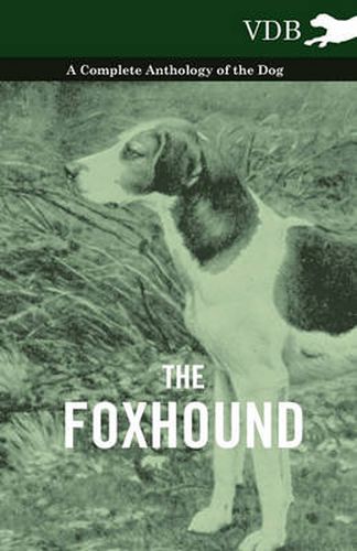 Cover image for The Foxhound - A Complete Anthology of the Dog