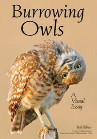 Cover image for Burrowing Owls: A Visual Essay