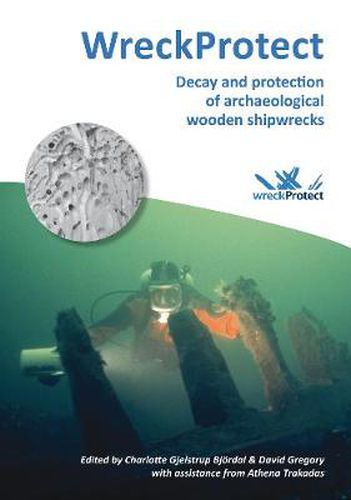Cover image for WreckProtect: Decay and protection of archaeological wooden shipwrecks