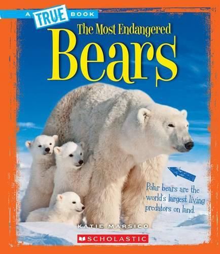 Cover image for Bears (True Book: Most Endangered)