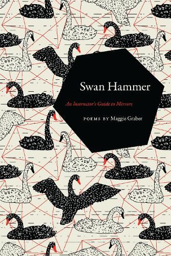 Cover image for Swan Hammer: An Instructor's Guide to Mirrors