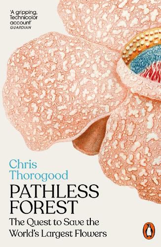 Cover image for Pathless Forest