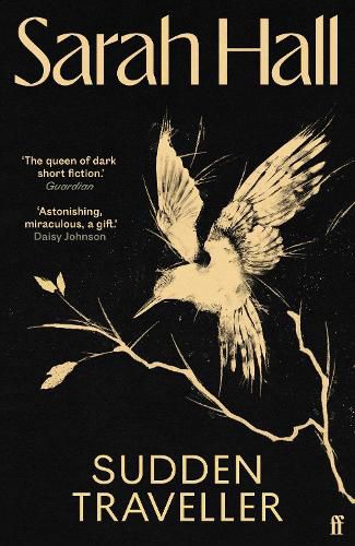 Cover image for Sudden Traveller: Winner of the BBC National Short Story Award