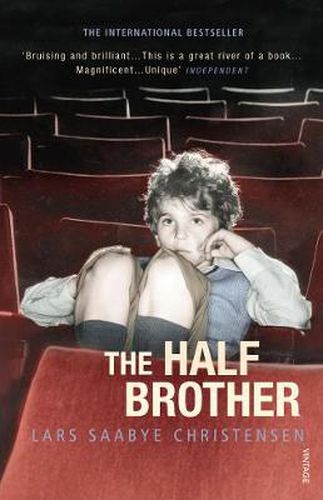 Cover image for The Half Brother