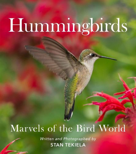 Hummingbirds: Marvels of the Bird World