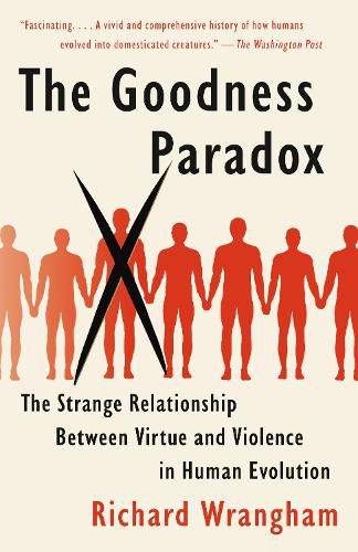 Cover image for The Goodness Paradox: The Strange Relationship Between Virtue and Violence in Human Evolution