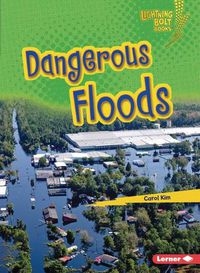 Cover image for Dangerous Floods