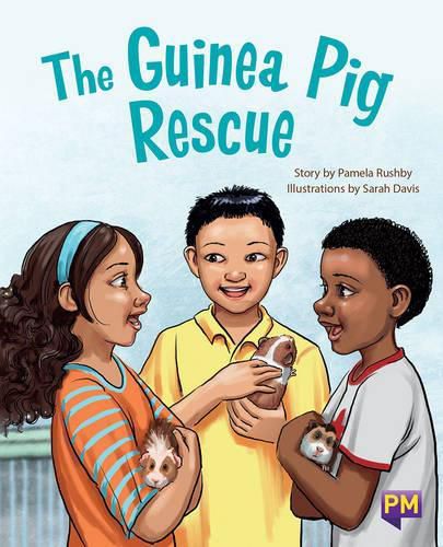 The Guinea Pig Rescue