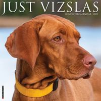 Cover image for Just Vizslas 2025 12 X 12 Wall Calendar