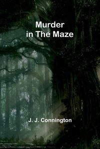 Cover image for Murder in the maze