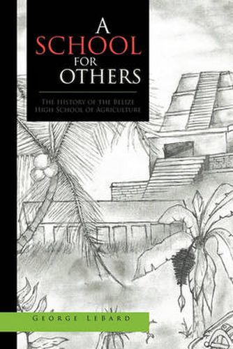 Cover image for A School for Others