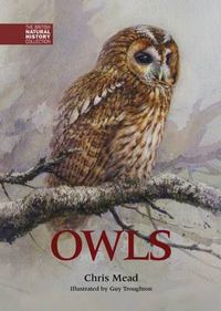 Cover image for Owls