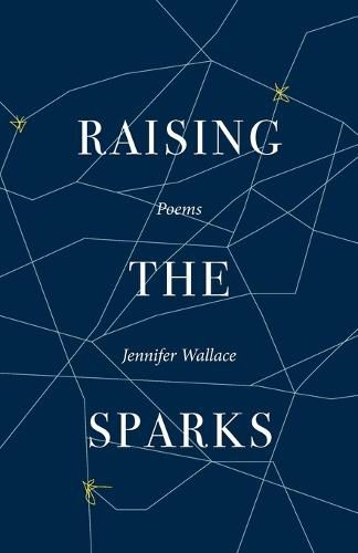 Cover image for Raising the Sparks