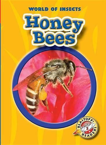 Cover image for Honey Bees