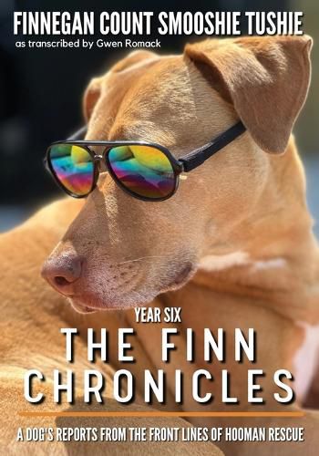 Cover image for The Finn Chronicles