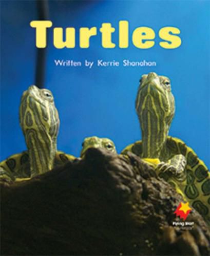 Cover image for Turtles