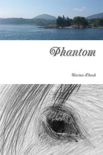 Cover image for Phantom