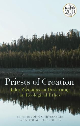 Cover image for Priests of Creation: John Zizioulas on Discerning an Ecological Ethos