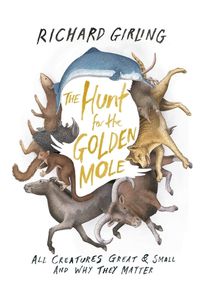 Cover image for The Hunt for the Golden Mole: All Creatures Great & Small and Why They Matter