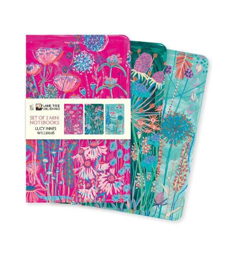 Cover image for Lucy Innes Williams Set of 3 Mini Notebooks