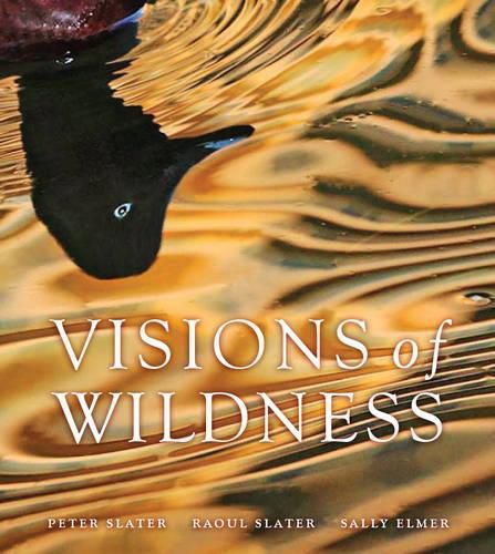 Cover image for Visions of Wildness