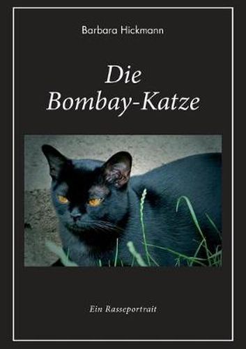 Cover image for Die Bombay-Katze: Ein Rasseportrait