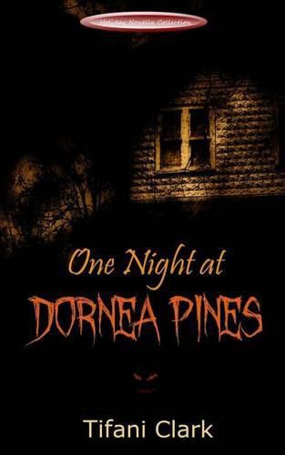 Cover image for One Night at Dornea Pines