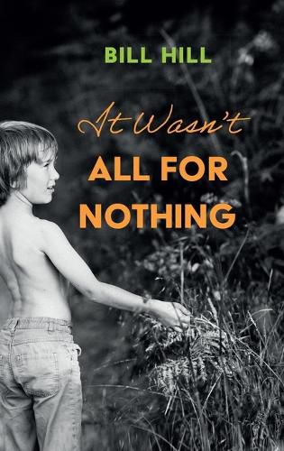 Cover image for It Wasn't All for Nothing